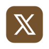 x icon