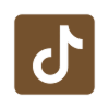 tiktok icon
